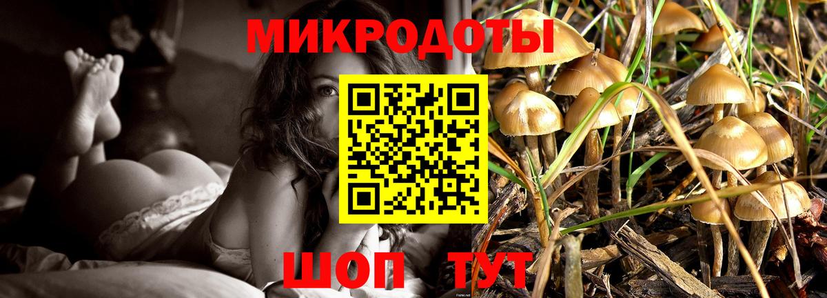 A-PVP Пенза