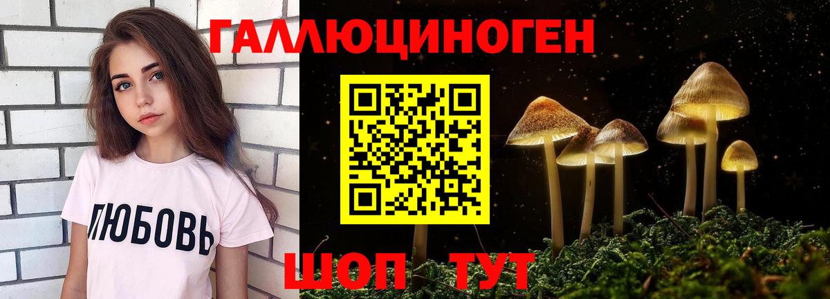 Пенза  Псилоцибиновые грибы Psilocybe  Вход с VPN  Галлюциногенные грибы прущие грибы 